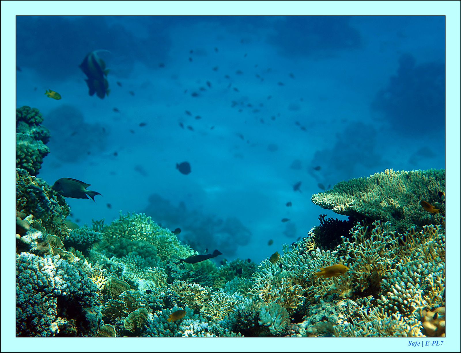 Hurghada - Aout 2021 - 039